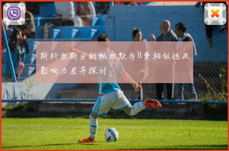 斯科尔斯分析帕尔默与B费相似性及影响力差异探讨